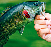 高性价比商用的发手机号软件app